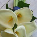View full-size image