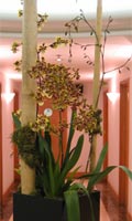 View full-size image