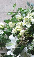View full-size image