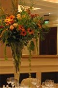 View full-size image