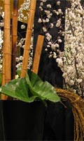 View full-size image