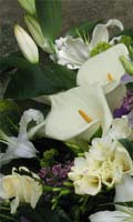 View full-size image